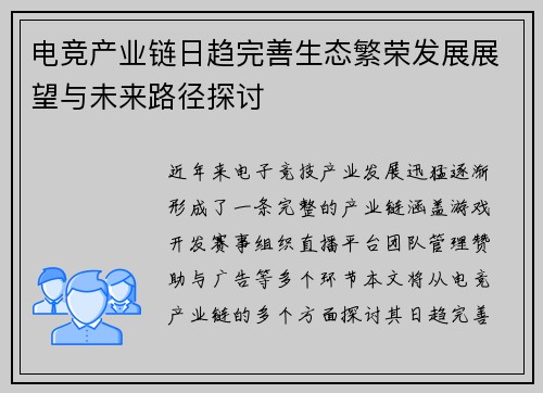 电竞产业链日趋完善生态繁荣发展展望与未来路径探讨