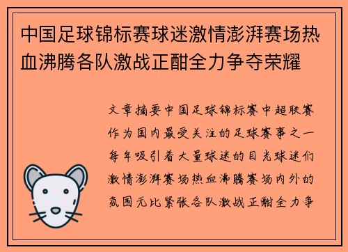 中国足球锦标赛球迷激情澎湃赛场热血沸腾各队激战正酣全力争夺荣耀