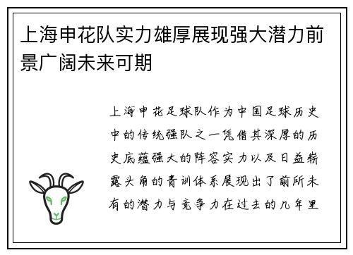 上海申花队实力雄厚展现强大潜力前景广阔未来可期