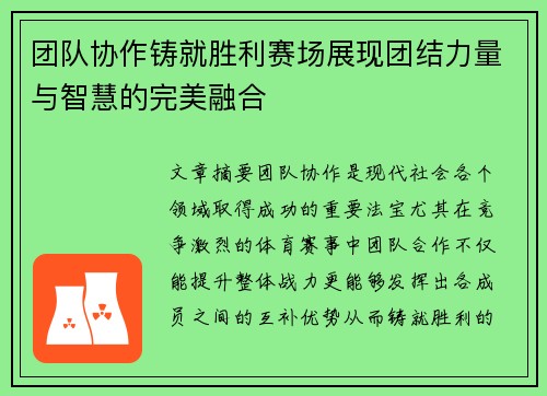 团队协作铸就胜利赛场展现团结力量与智慧的完美融合