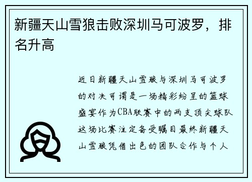 新疆天山雪狼击败深圳马可波罗，排名升高
