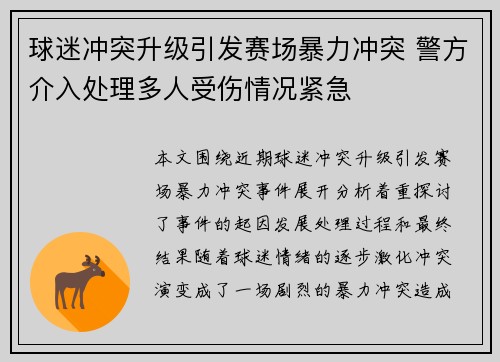 球迷冲突升级引发赛场暴力冲突 警方介入处理多人受伤情况紧急