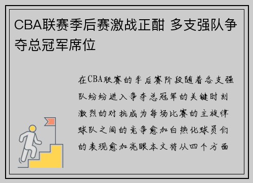 CBA联赛季后赛激战正酣 多支强队争夺总冠军席位