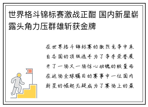 世界格斗锦标赛激战正酣 国内新星崭露头角力压群雄斩获金牌